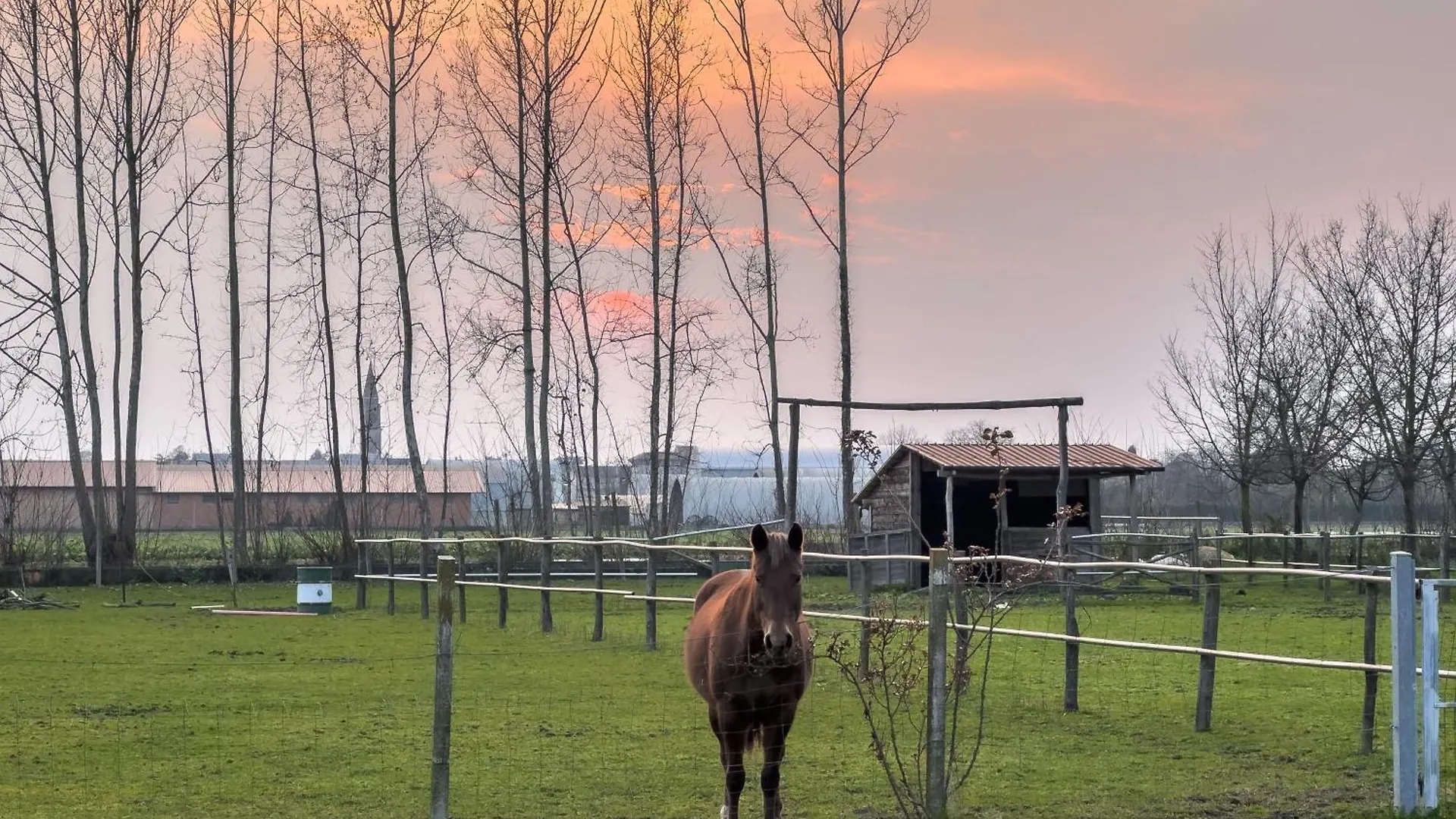 Agriturismo Al Botteniga Treviso